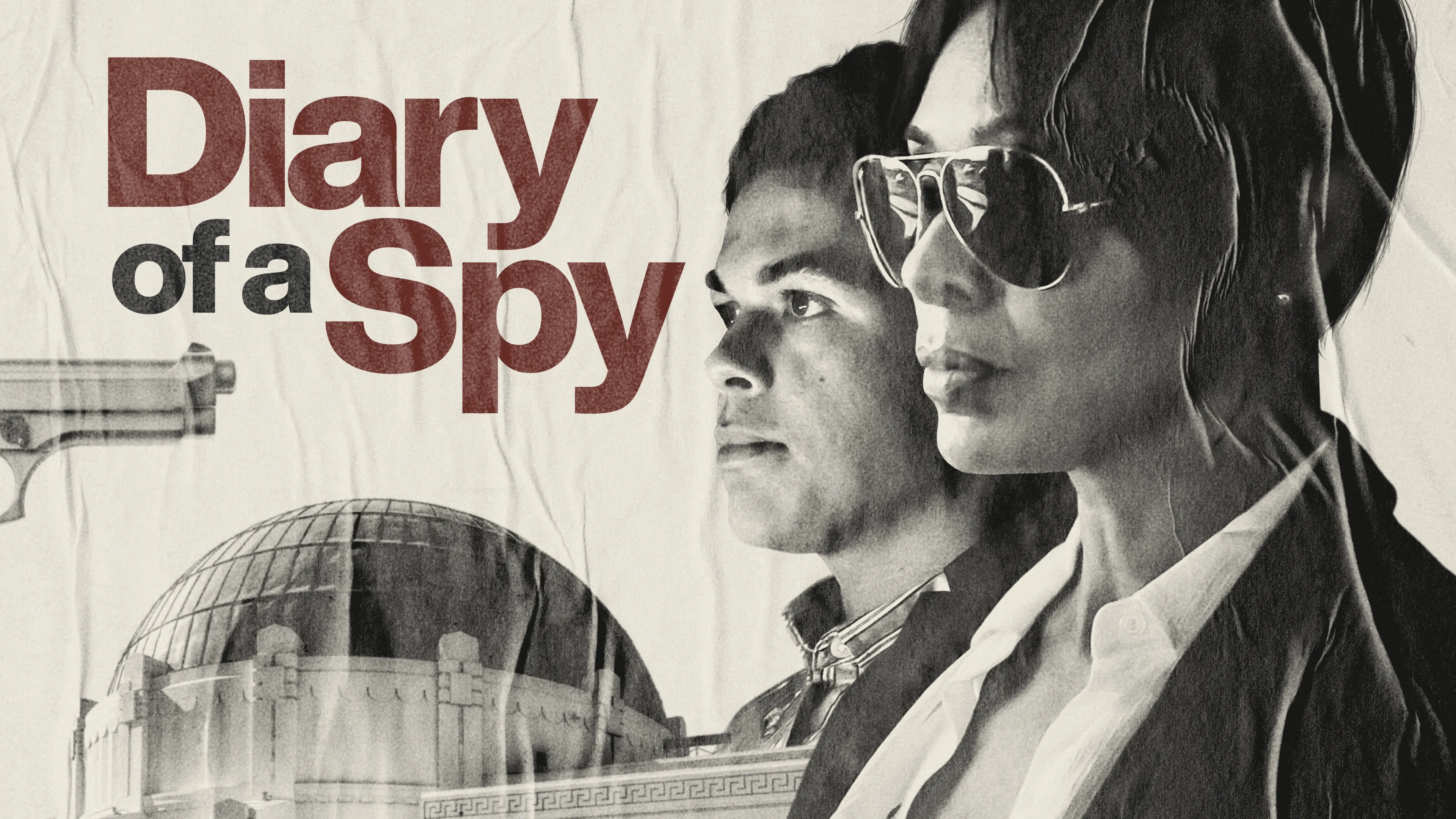 Diary of a Spy poster